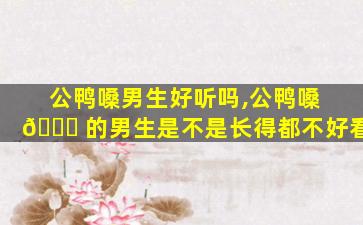 公鸭嗓男生好听吗,公鸭嗓 🍁 的男生是不是长得都不好看